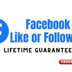 Fb page likes and follow 1000