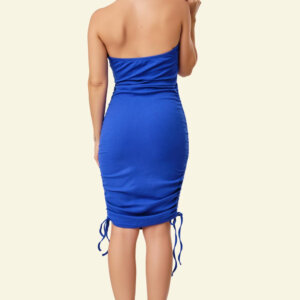 Biconic Royal Blue Halter Neck Ruched Dress