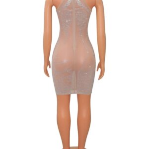 Bodycon Mesh Mini Dress