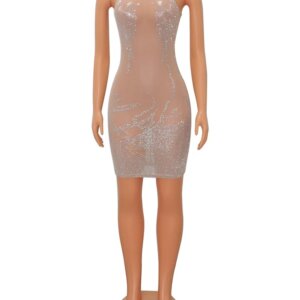 Bodycon Mesh Mini Dress