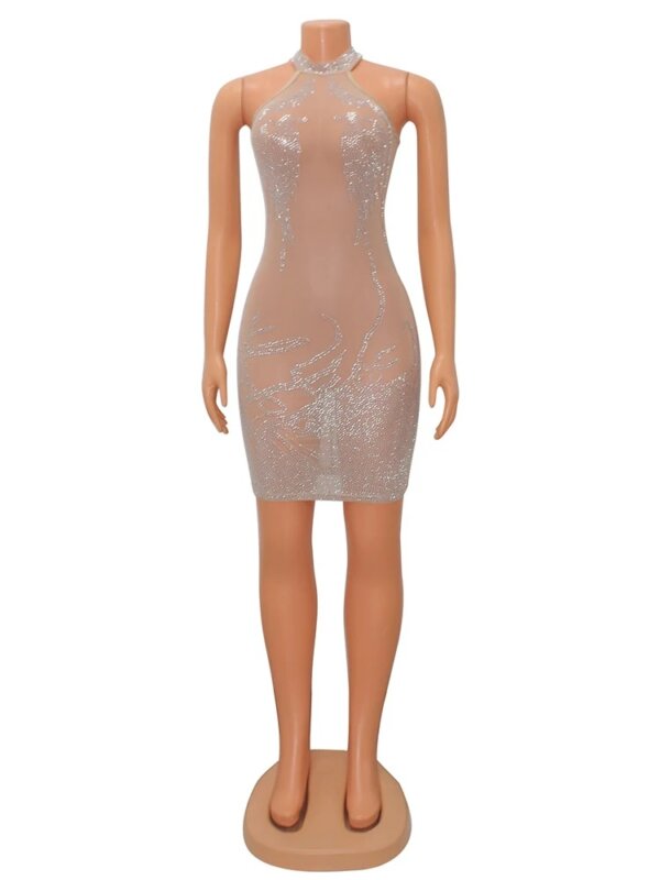 Bodycon Mesh Mini Dress - Image 4